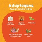 Melting Forest Mushroom Coffee - Energy & Focus