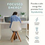 Focus Mushroom Coffee with Lion's Mane & Chaga