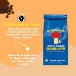 Organic Mushroom Coffee Blend for Focus & Energy