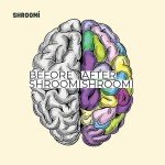 Shroomi Premium Mushroom Coffee Blend - 12oz