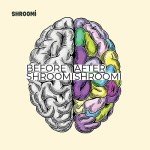 Shroomi Premium Ground Mushroom Coffee Blend - 12oz