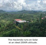 COHFFEE: Adaptogenic Mushroom Coffee from Puerto Rico, 10oz