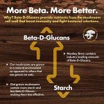 Monkey Brew - Organic Mushroom Coffee Blend 30 Servings