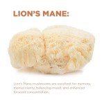 Organic Mushroom Coffee for Focus & Energy, 30 Servings