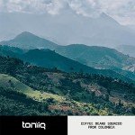 Toniiq Ultra Concentrated Mushroom Coffee Blend