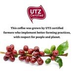 Solimo Dark Roast Mushroom Coffee Capsules, 50 Count