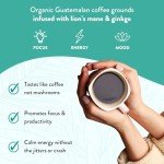 FOCUS Mushroom Coffee with Lion's Mane & Chaga