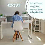 FOCUS Mushroom Coffee with Lion's Mane & Chaga