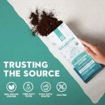 Organic Dark Roast Mushroom Coffee with Lion's Mane