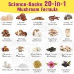 Mushroom Coffee Powder 5000mg for Energy & Focus