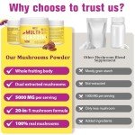 Mushroom Coffee Powder 5000mg for Energy & Focus