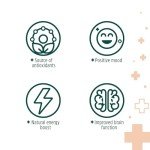 Mushroom Coffee Pods with Lion's Mane - 12 Count