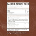 Organic Mushroom Coffee Blend - 10 Pack