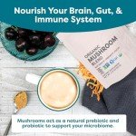 Functionist Organic Mushroom Blend for Gut Energy