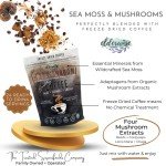 Elderwise Organic Mushroom Coffee Blend - 24 Servings