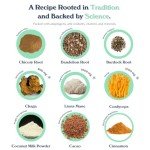 A Dash Better Caffeine-Free Mushroom Coffee Brew