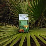 Instant Mushroom Arabica Coffee with Immune Boosting Extracts