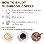 Organic Mushroom Coffee Blend for Energy & Focus