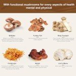 Organic Mushroom Coffee Blend for Energy & Focus