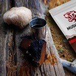 Loko Nature Tiger Mushroom Coffee – Lions Mane & Chaga 30 Servings