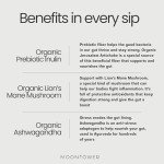 Moontower Mushroom Coffee for Gut Health & Focus