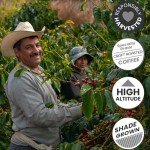 Moontower Mushroom Coffee for Gut Health & Focus