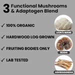 Moontower High-Caffeine Mushroom Coffee Blend 12 oz