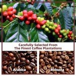 Mushroom Cappuccino Mix for Stress Relief & Immunity