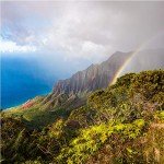 Vanilla Macadamia Nut Hawaiian Coffee - 10 oz