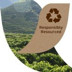 Mushroom Coffee Instant Blend - Light Medium Roast