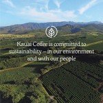 Kauai Vanilla Macadamia Nut Coffee Pods - 24 Pack