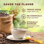 Organic Instant Mushroom Coffee Packets - 10 Servings