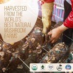 Organic Mushroom Coffee with Lion's Mane & Reishi