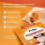 Organic Mushroom Chai Latte, 15 Servings