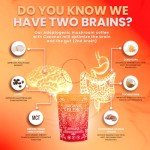 Organic Instant Mushroom Coffee for Energy & Focus