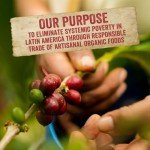 Mayorga Organic Dark Roast Mushroom Coffee - 12oz