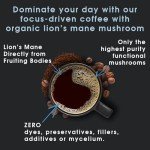Mountain Mushrooms Lion's Mane Coffee - 9oz Blend