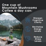 Mountain Mushrooms Lion's Mane Coffee - 9oz Blend