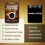 Organic Mushroom Coffee Blend for Energy & Focus