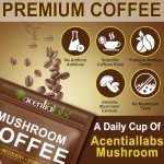 Organic Mushroom Coffee Blend for Energy & Focus
