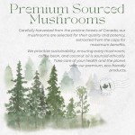 Mushroom Coffee with MCT Oil - Instant Blend