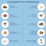 Shroomzup Instant Mushroom Coffee - 10 Mushrooms, 15 Pack