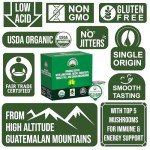 Organic Mushroom Coffee Pods: Lion's Mane & More