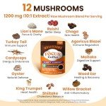 Venture Pal Mushroom Coffee with Ashwagandha & Probiotics