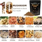 TEATREE Mushroom Coffee Blend for Energy & Focus