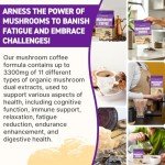 Organic Mushroom Coffee with Adaptogens for Energy & Focus