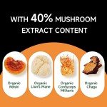 Chaism Instant Mushroom Coffee: Energy Focus and Clarity