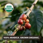 Eco-Friendly Espresso Capsules | Nespresso Compatible | 60 Count