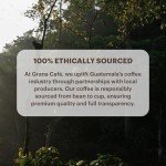 Eco-Friendly Espresso Capsules | Nespresso Compatible | 60 Count