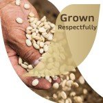 Nescafe Taster's Choice Instant House Blend Coffee